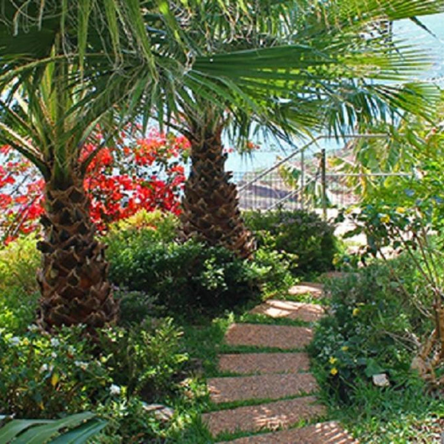 Casa do Papagaio Verde