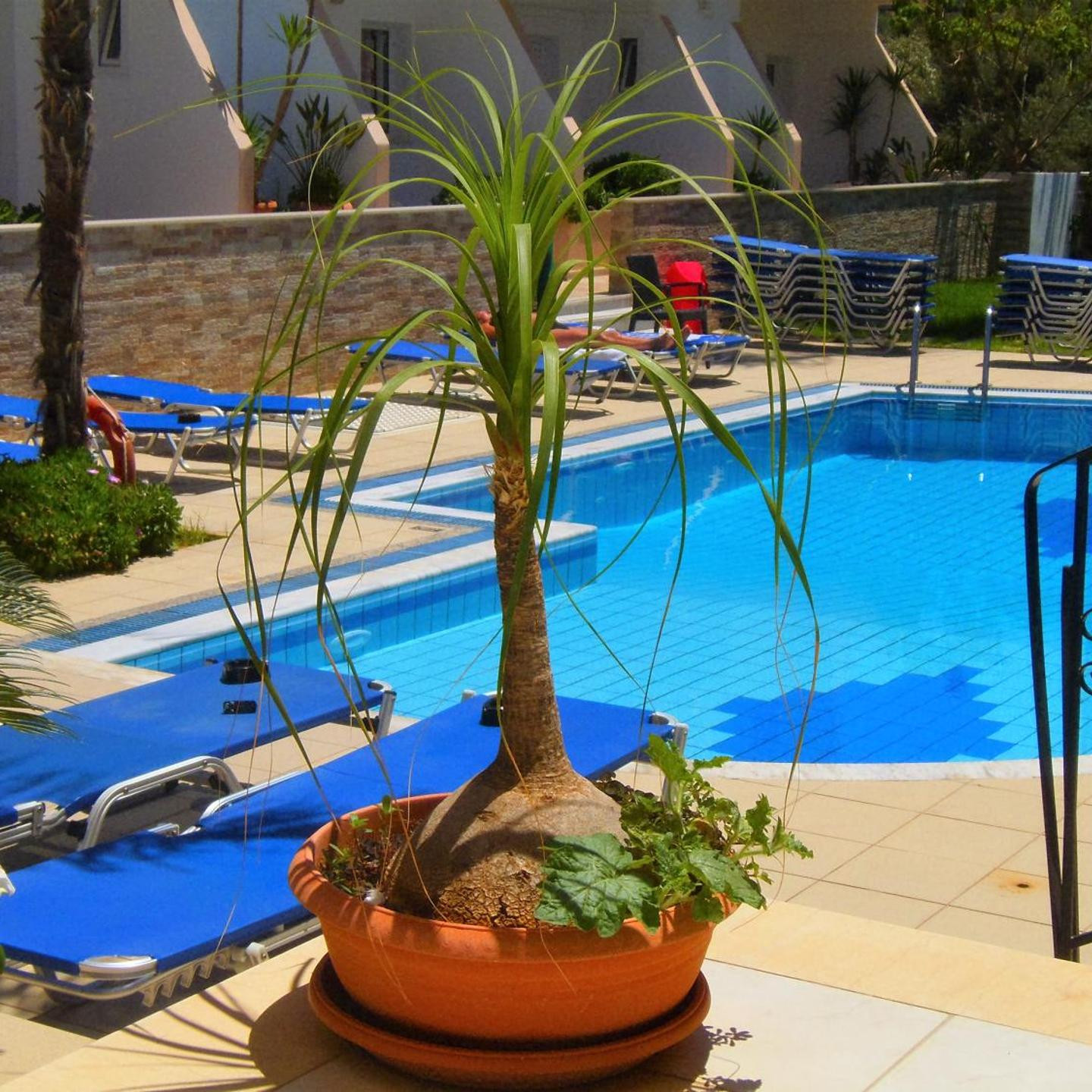 Emerald Hotel
