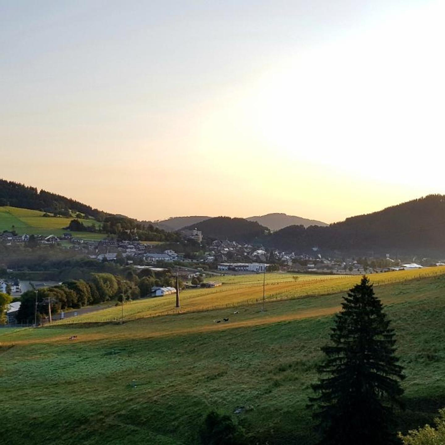 Waldhotel Willingen