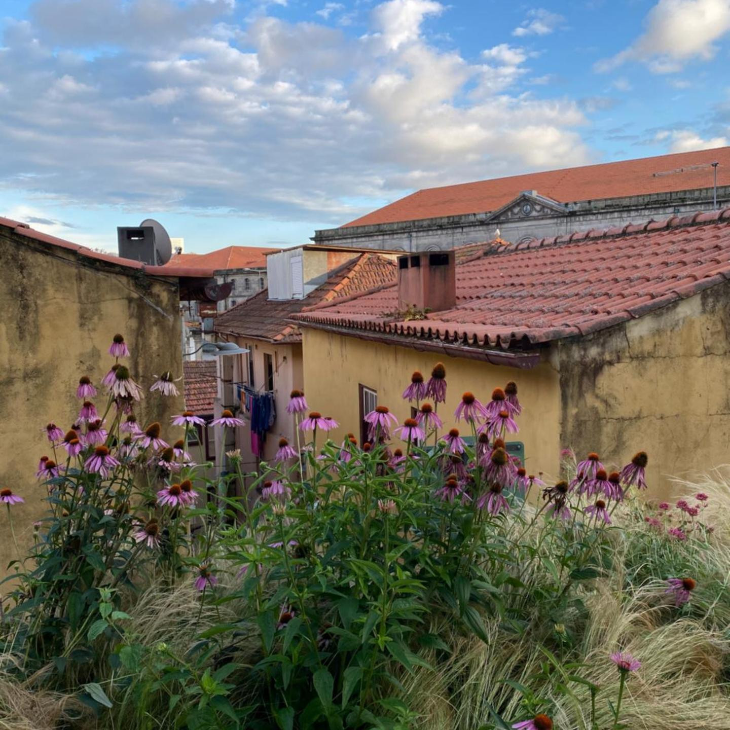 My Little Porto - Charming house in Miragaia, Porto