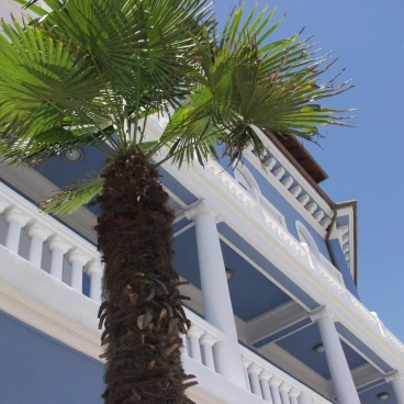 Hotel Park