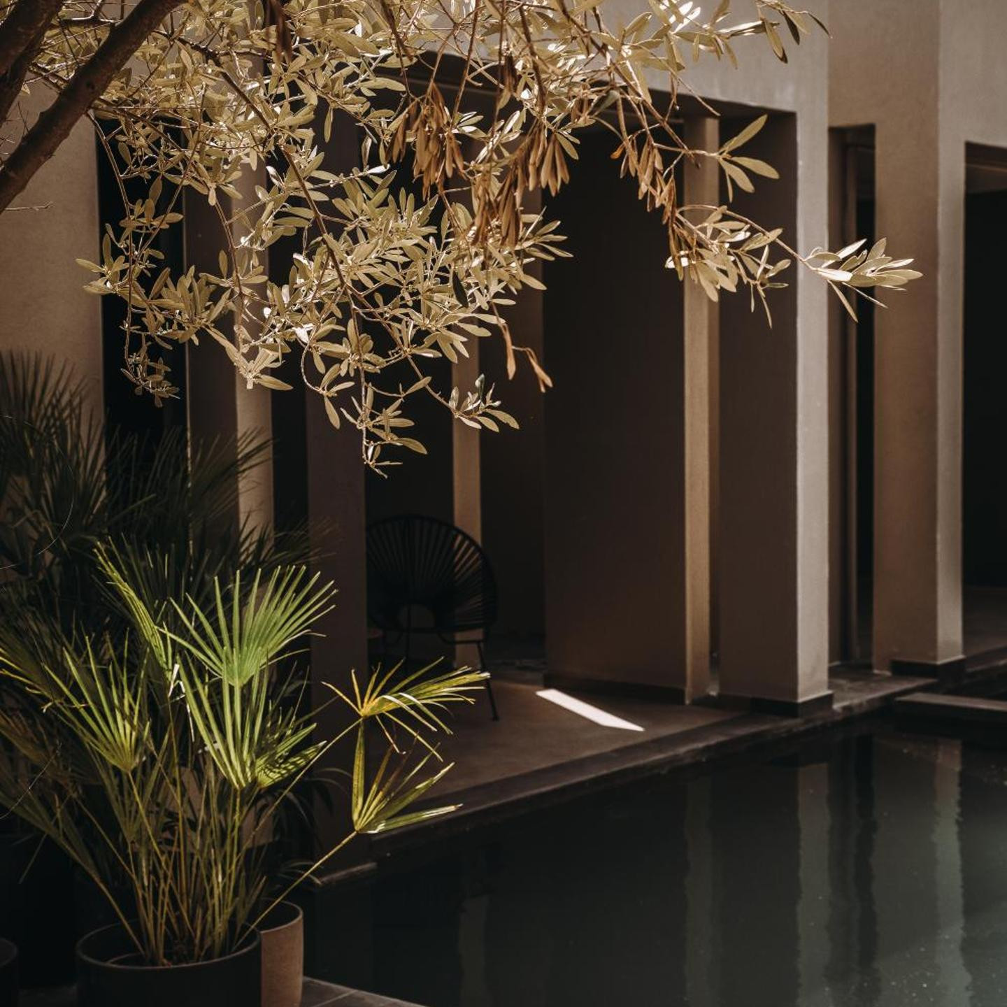 Cook's Club Ialyssos