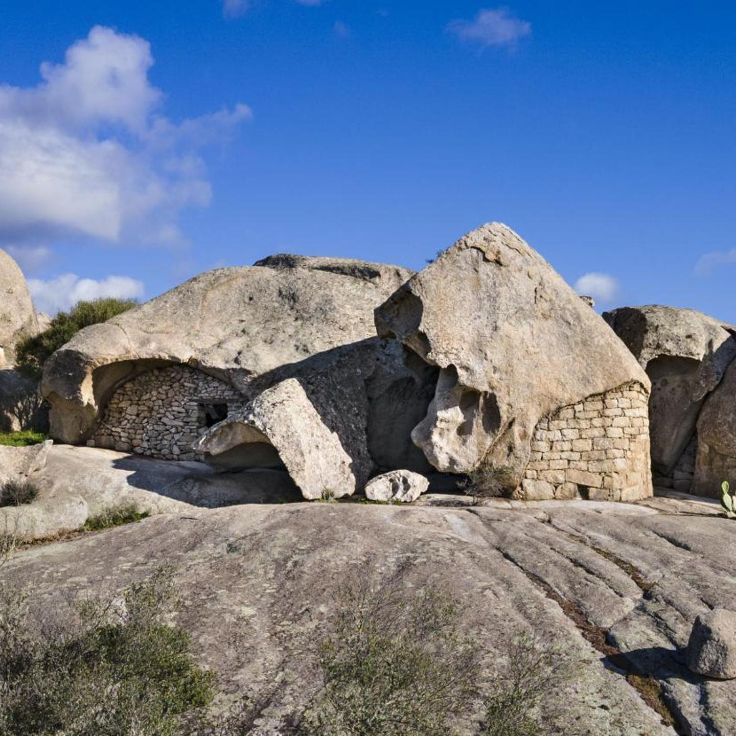 Tenuta Pilastru