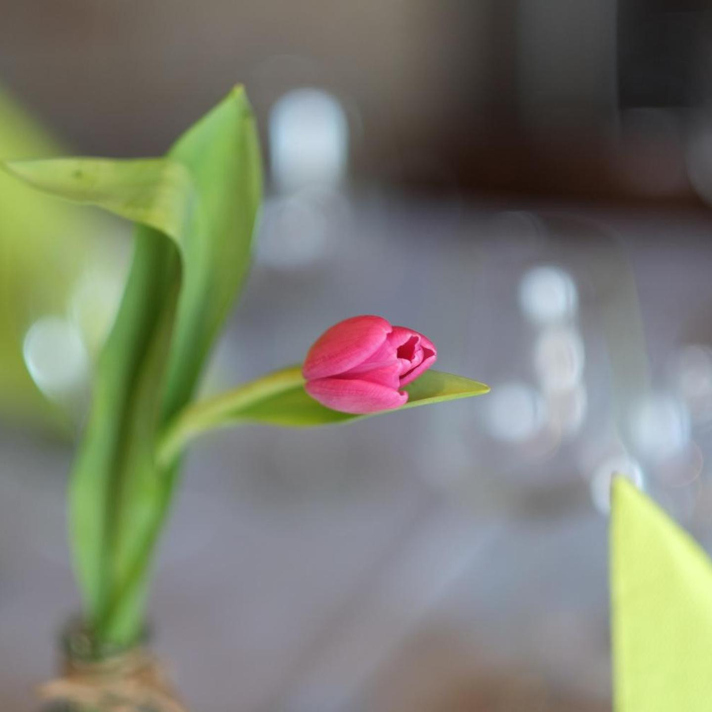 Brockenblick Ferienpark