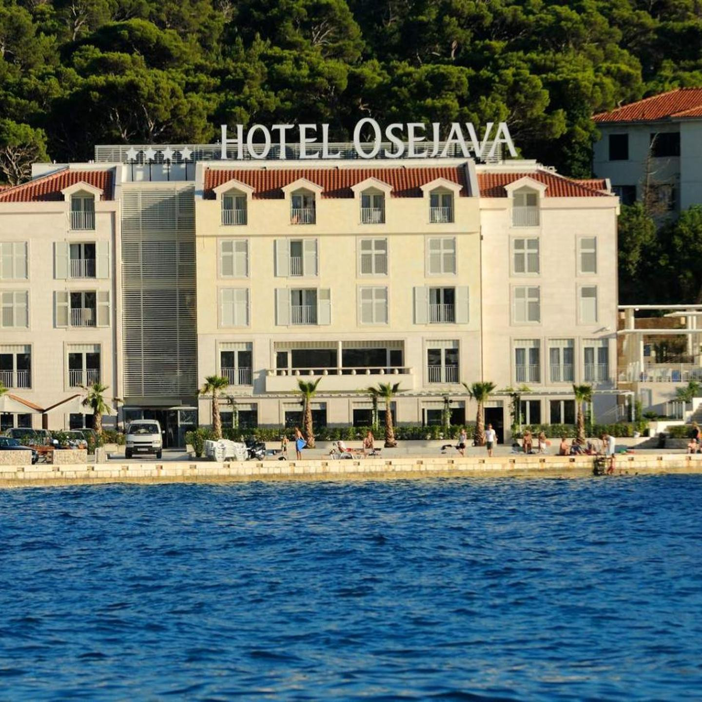 Hotel Osejava