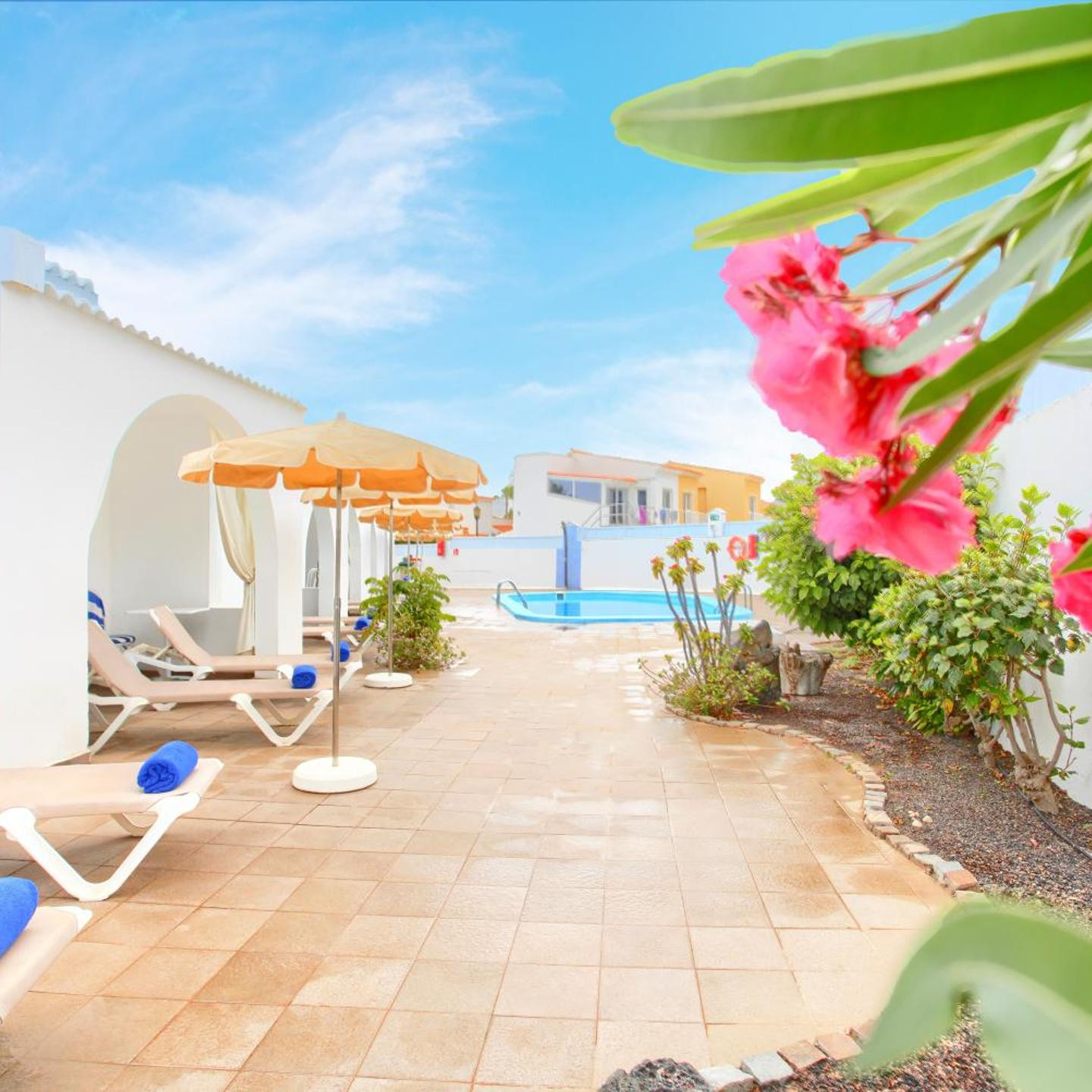 Neptuno Bungalows - Adults Only