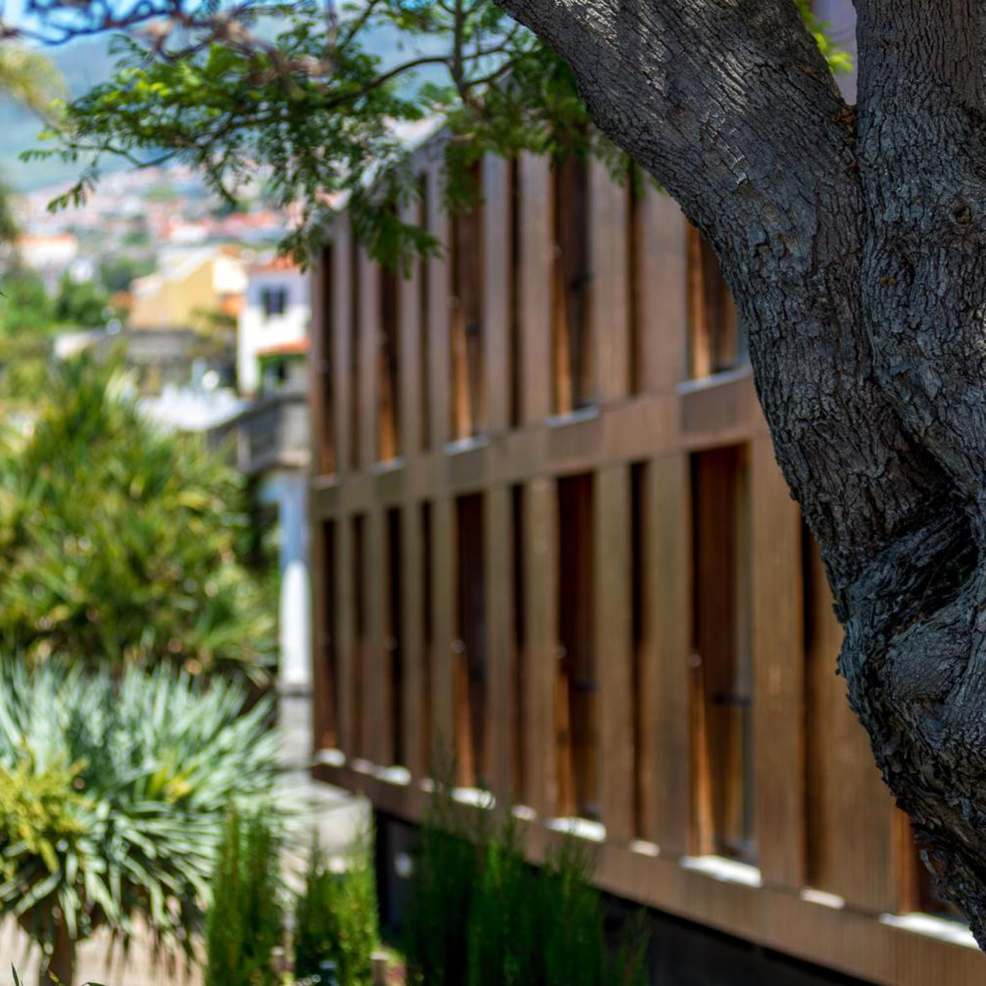ARTS IN Hotel Conde Carvalhal