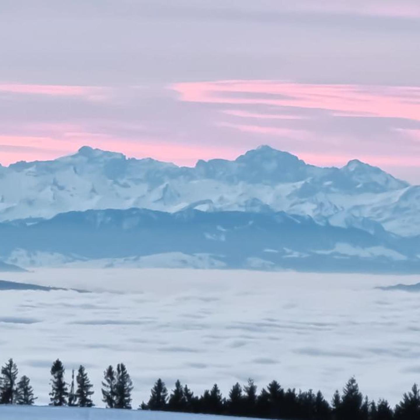Bio- und Wellnesshotel Alpenblick