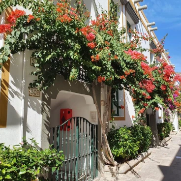 Billy's Puerto de Mogán Apartments by LIVVO