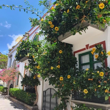 Billy's Puerto de Mogán Apartments by LIVVO