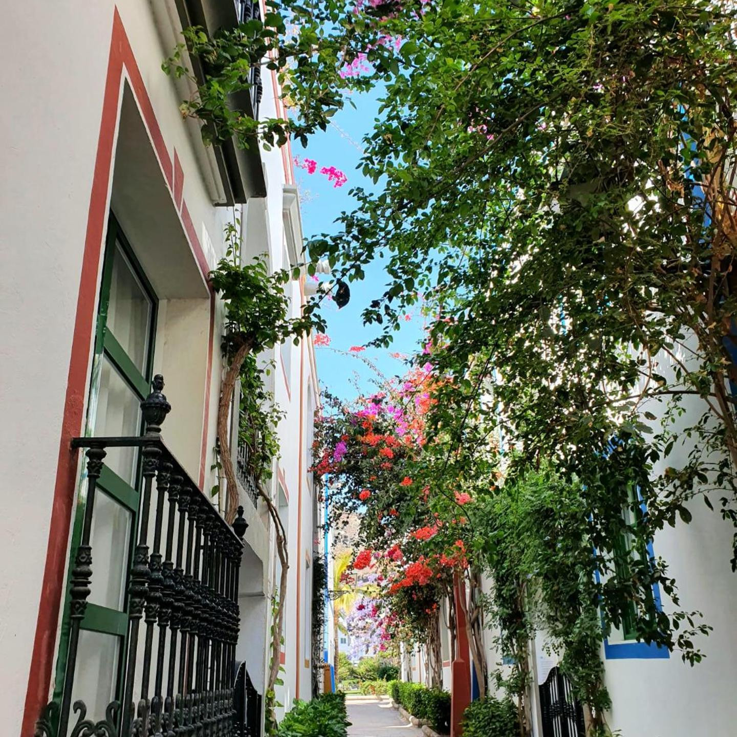 Billy's Puerto de Mogán Apartments by LIVVO